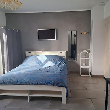 Studio Dans Maison Avec Jardin Et Balcon, Au Calme Sérézin-du-Rhône エクステリア 写真