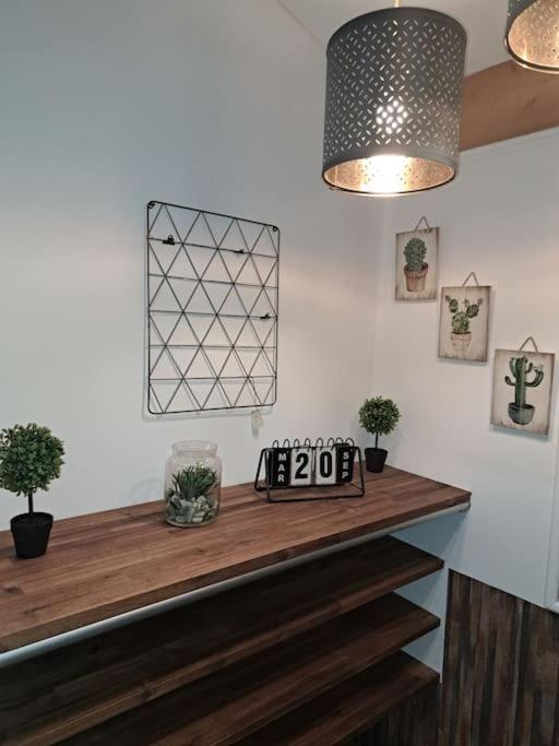 Studio Dans Maison Avec Jardin Et Balcon, Au Calme Sérézin-du-Rhône エクステリア 写真