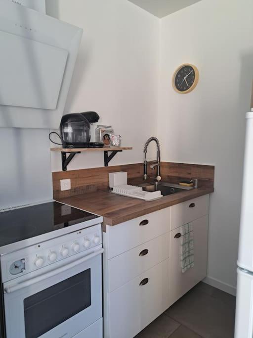 Studio Dans Maison Avec Jardin Et Balcon, Au Calme Sérézin-du-Rhône エクステリア 写真