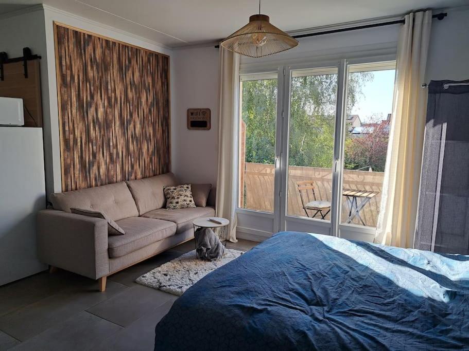 Studio Dans Maison Avec Jardin Et Balcon, Au Calme Sérézin-du-Rhône エクステリア 写真